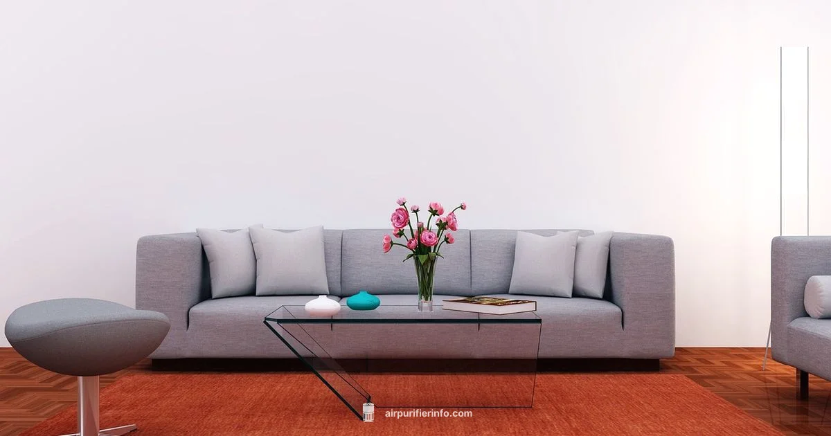 Air Purifier Basics Air Purifier Basics - Air Purifier Info