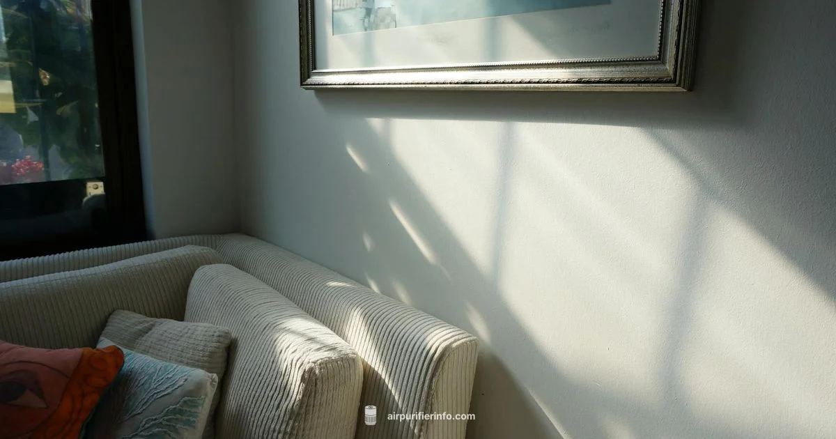 Air Purifier Setup Air Purifier Setup - Air Purifier Info
