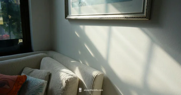 Air Purifier Setup - Air Purifier Info