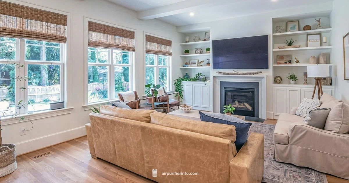 Miko Review Miko Review - Air Purifier Info