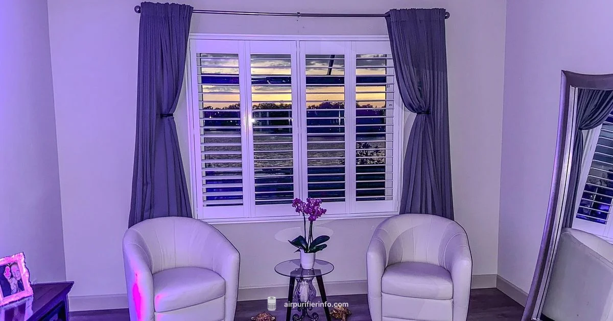 Intellipure Reviews - Air Purifier Info