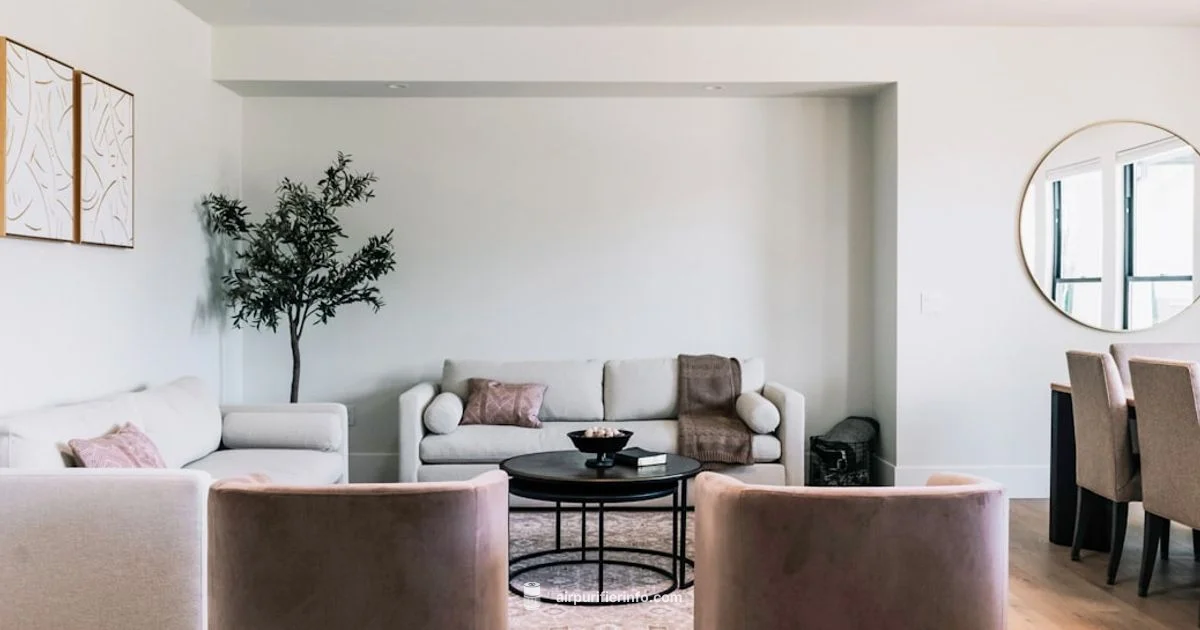 Molekule Review - Air Purifier Info