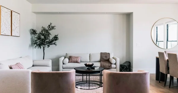 Molekule Review - Air Purifier Info