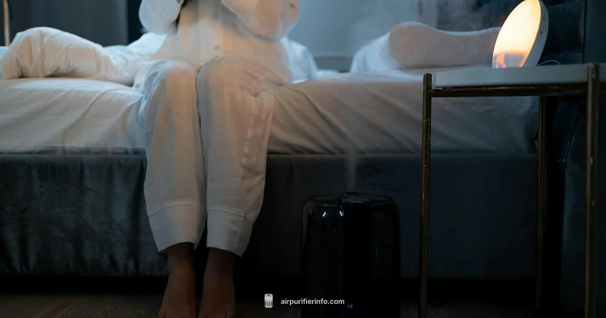 Purifier + Humidifier - Air Purifier Info