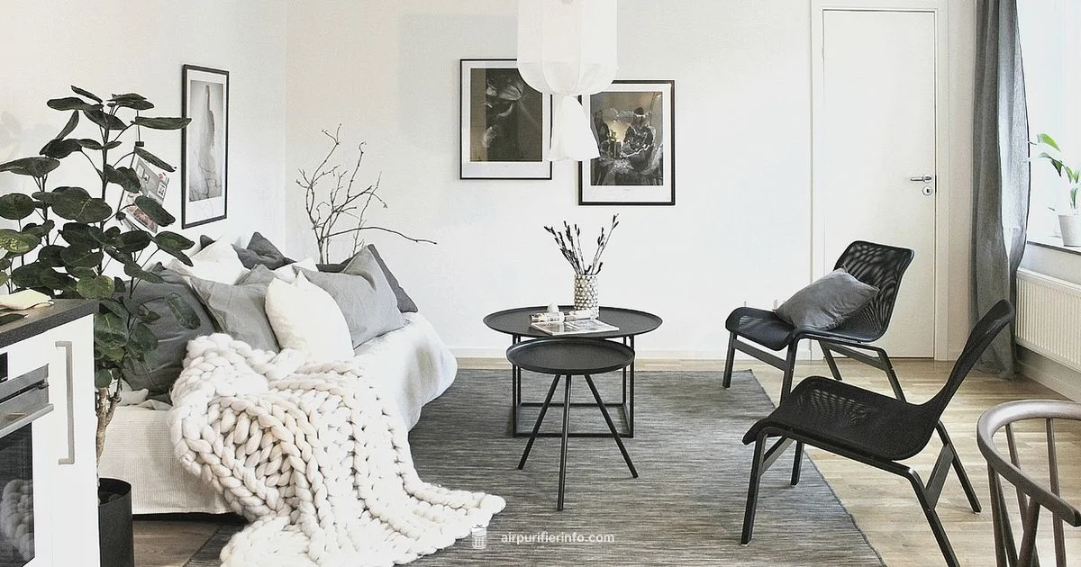 Purifier vs Humidifier - Air Purifier Info