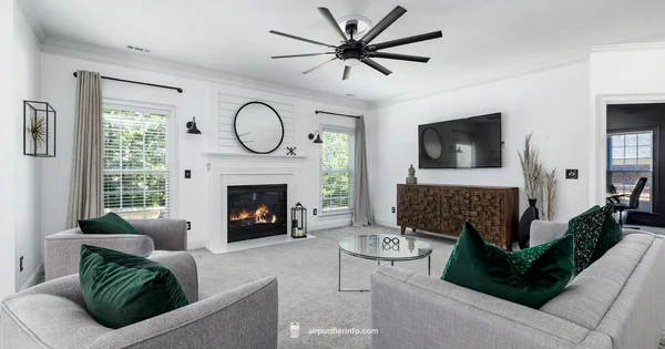 Powerful Purifier Guide - Air Purifier Info