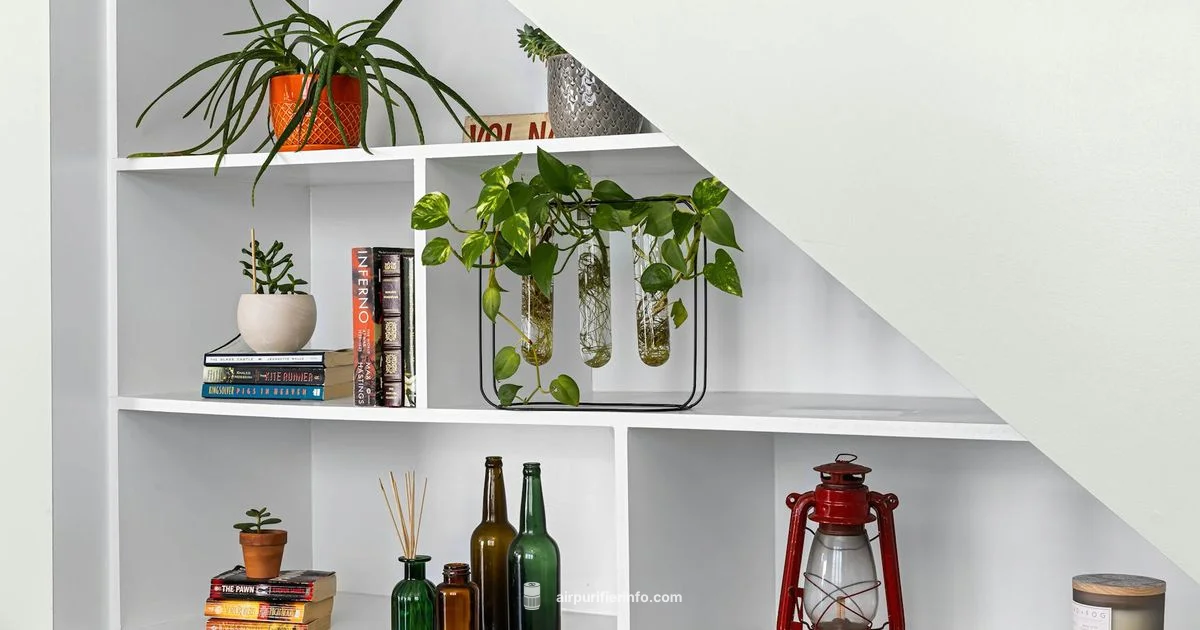 Maxlite Filter Replacement - Air Purifier Info