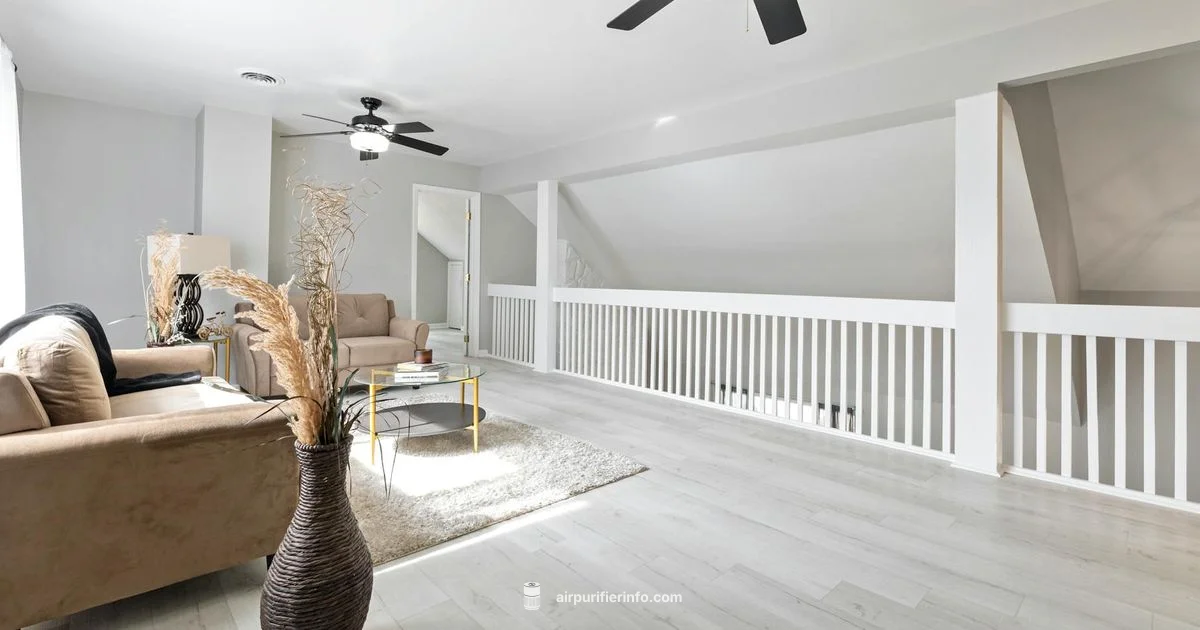 Dyson Fan Buying Guide - Air Purifier Info