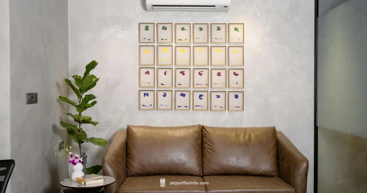 Ionizer Safety Guide Ionizer Safety Guide - Air Purifier Info