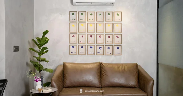 Ionizer Safety Guide - Air Purifier Info