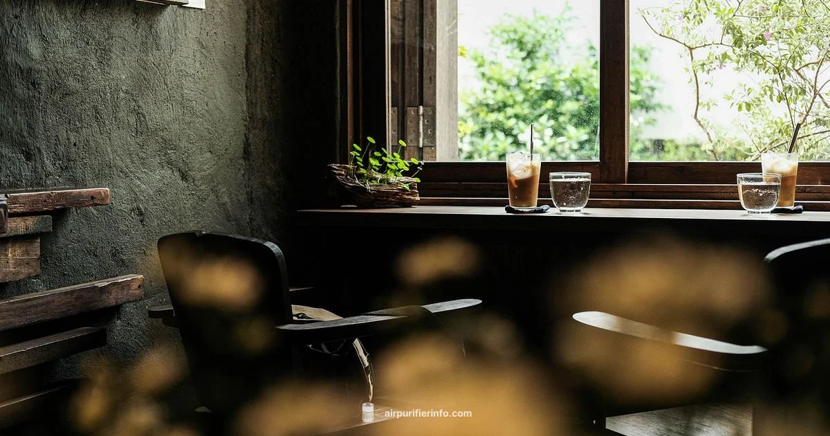 Cleaner Air Maintenance - Air Purifier Info