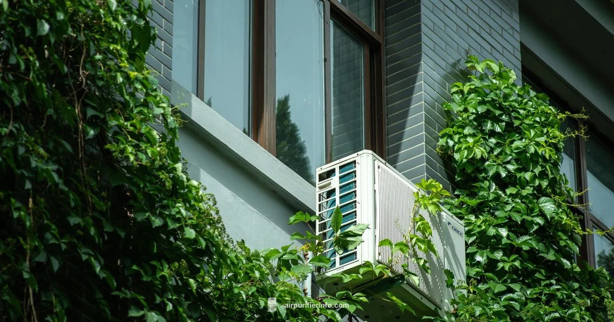 Efficient Air Purifier - Air Purifier Info