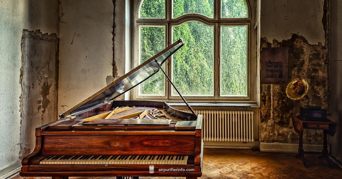 iwave r in Home - Air Purifier Info