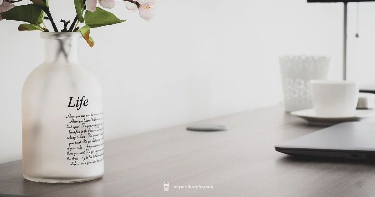 VIO Purifier Spotlight - Air Purifier Info