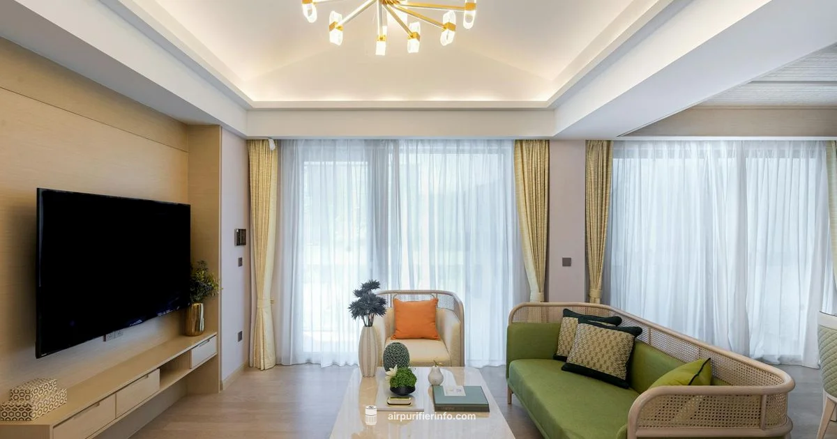 LG puri care Overview - Air Purifier Info