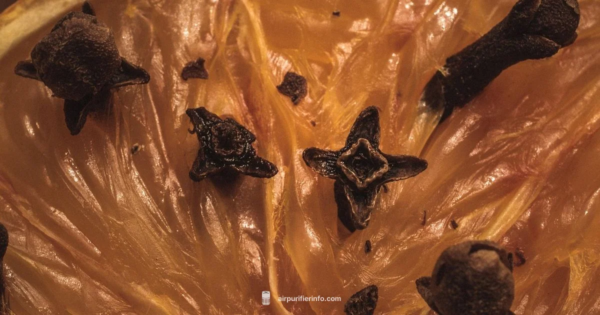 Scent-Safe Purifier Guide - Air Purifier Info