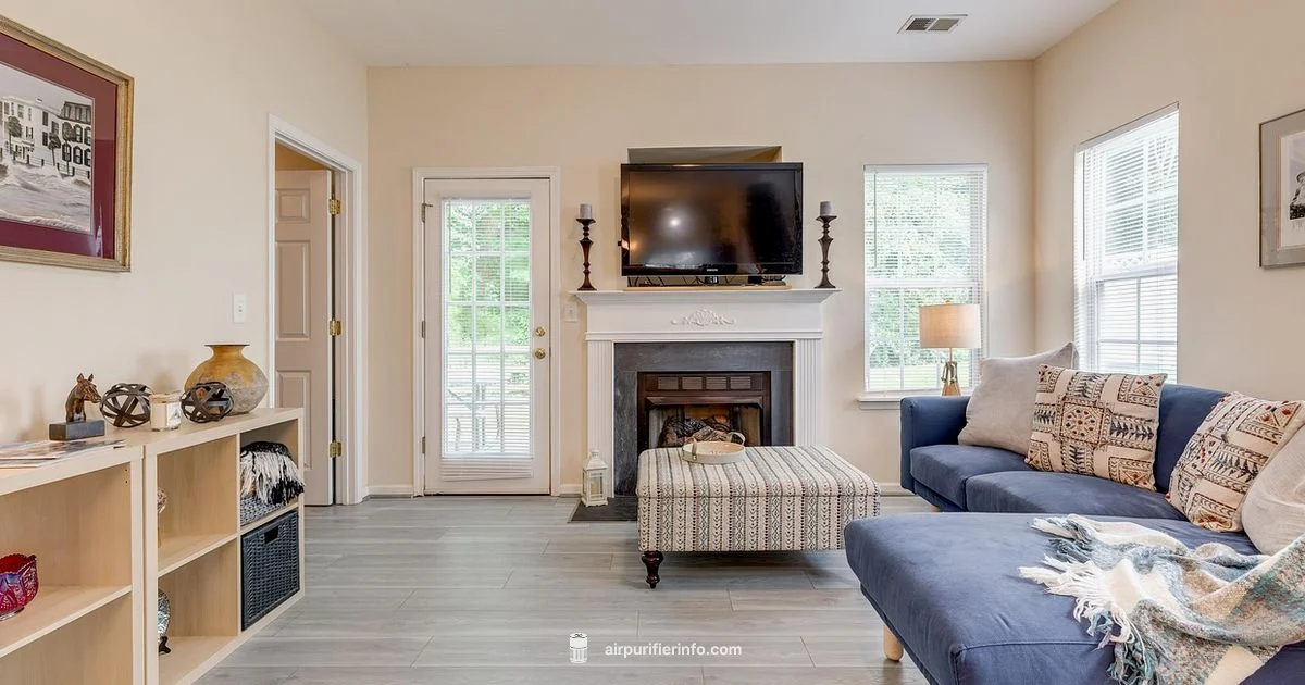 Air Purifier Basics - Air Purifier Info