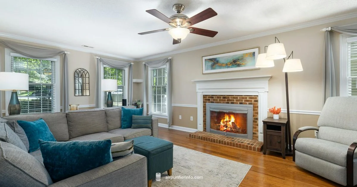 Clear Air, Easy Living - Air Purifier Info