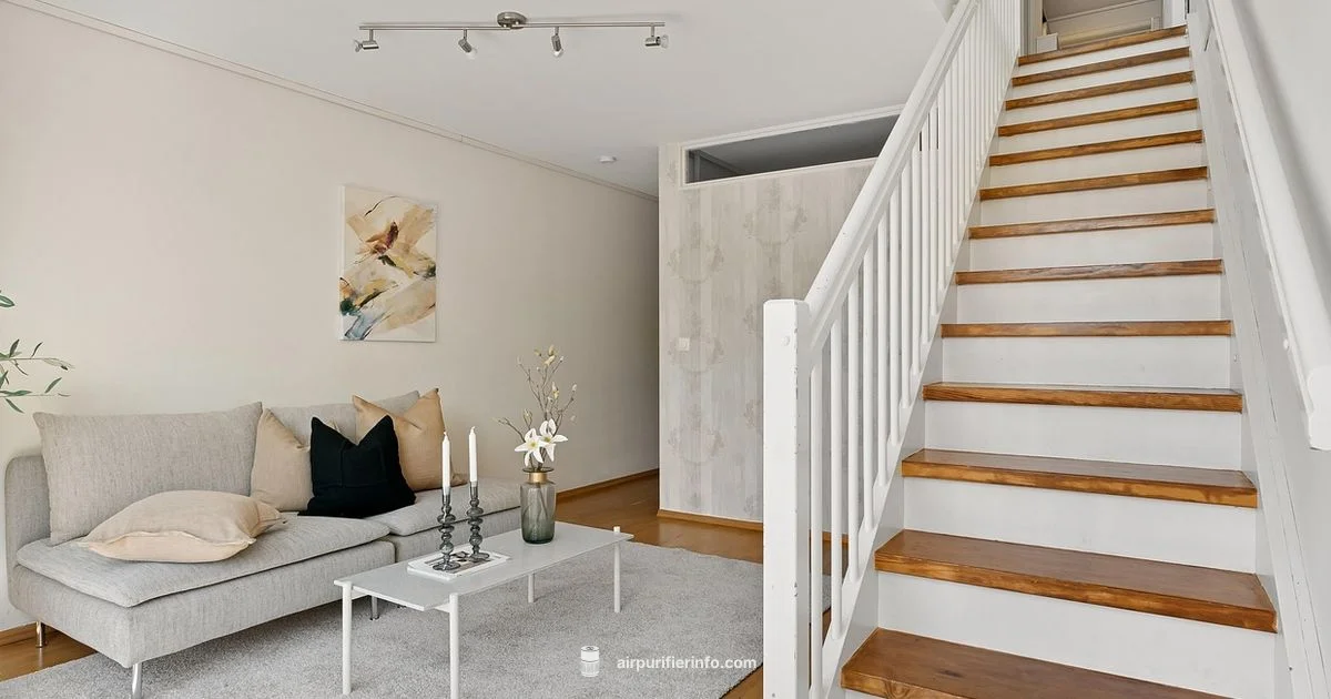 In-Store Picks - Air Purifier Info