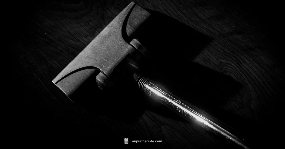 Air Purifier vs Vacuum - Air Purifier Info