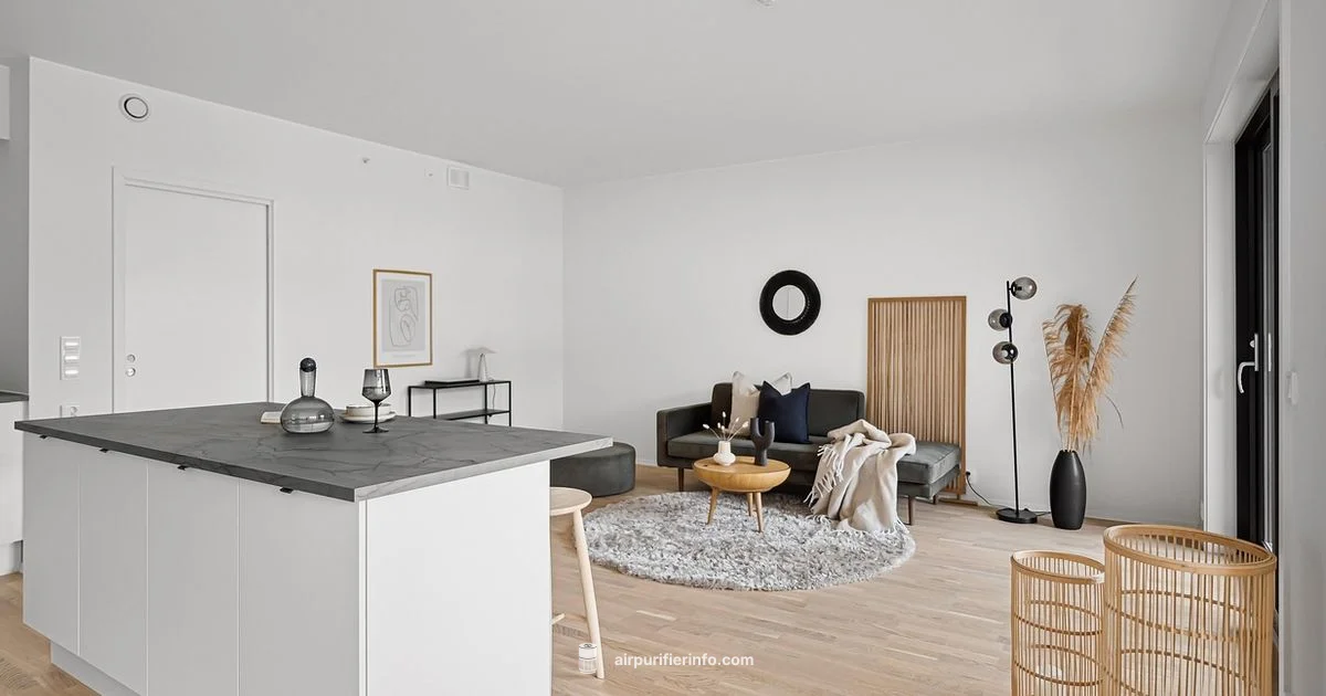 Odor Removal Guide - Air Purifier Info