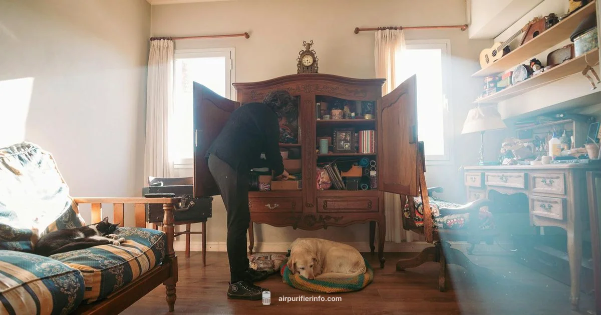 HEPA vs Ionizer - Air Purifier Info