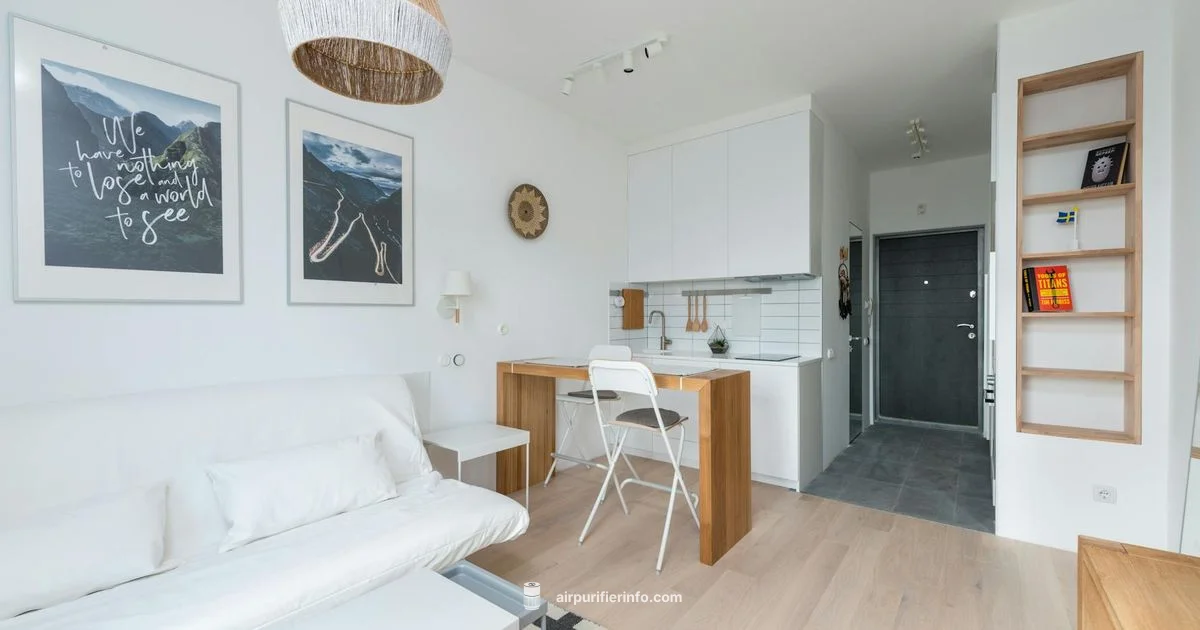 Sans vs Shark: Clean Air - Air Purifier Info