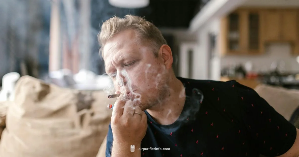 Smoke Purifier Guide - Air Purifier Info