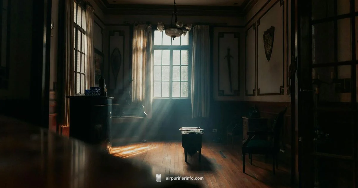 Clean Air at Home - Air Purifier Info