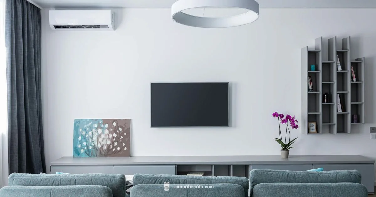 Clean Air, Smart Budget - Air Purifier Info