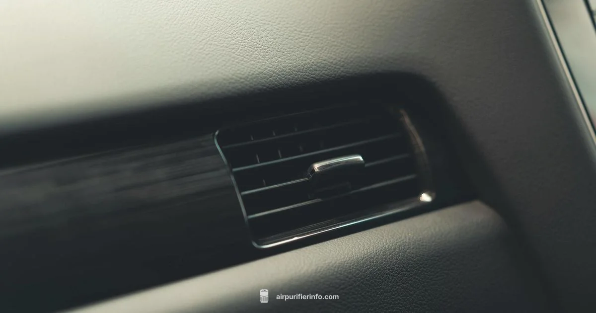 Car Filter Basics - Air Purifier Info