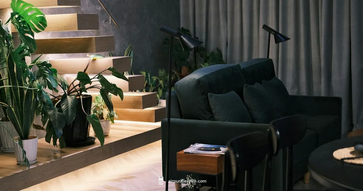 Nearby Purifier Picks - Air Purifier Info