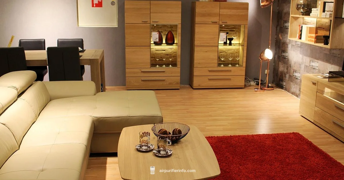 Air Quality & Asthma - Air Purifier Info