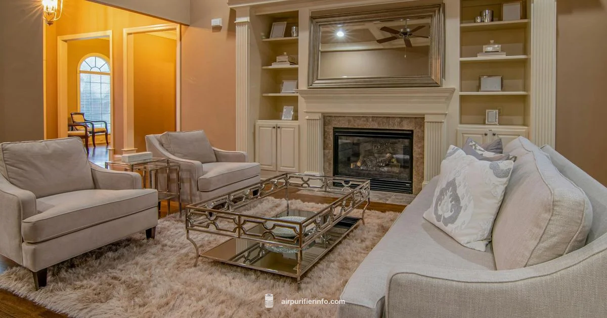 Budget Purifier Duo - Air Purifier Info