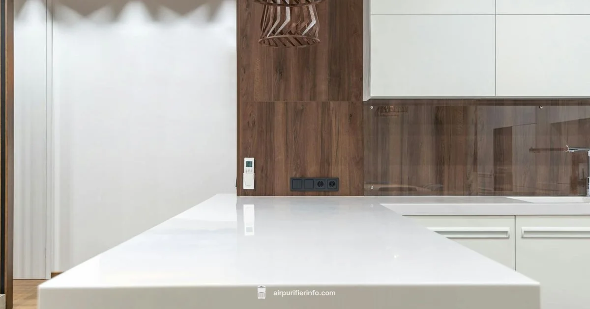 Clean Coway Purifier - Air Purifier Info