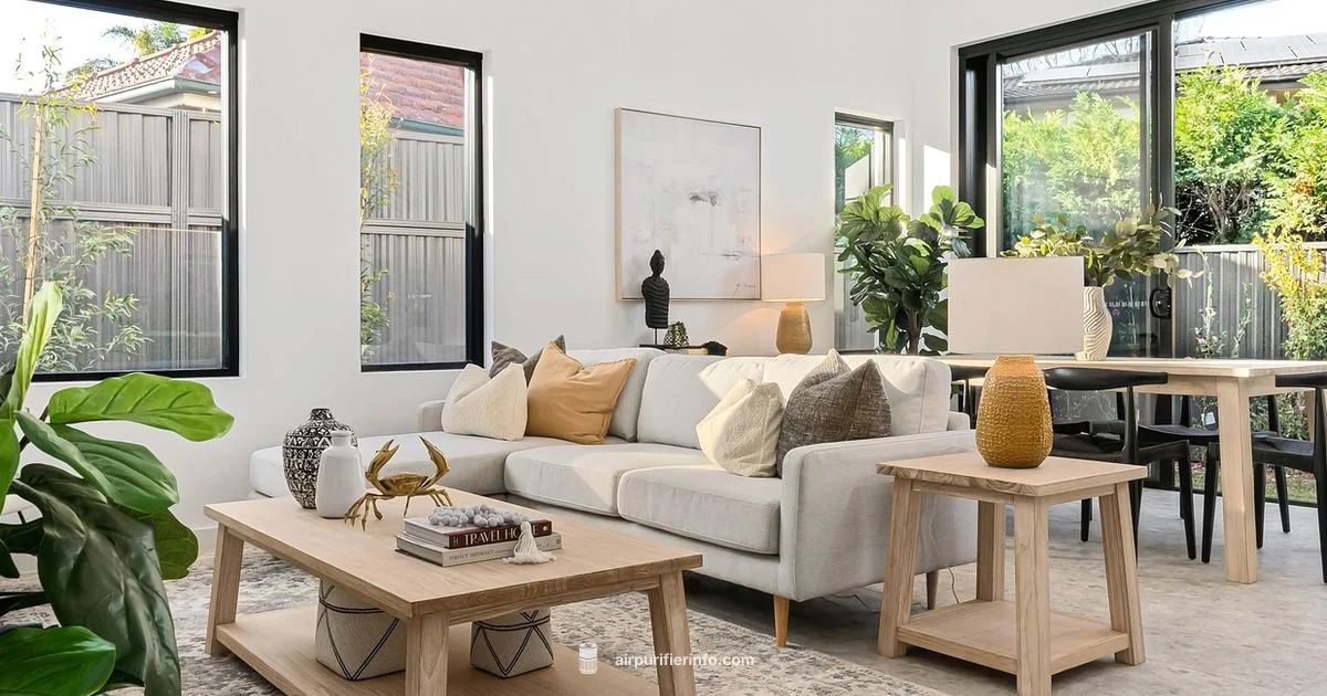Popular Air Purifier Guide - Air Purifier Info
