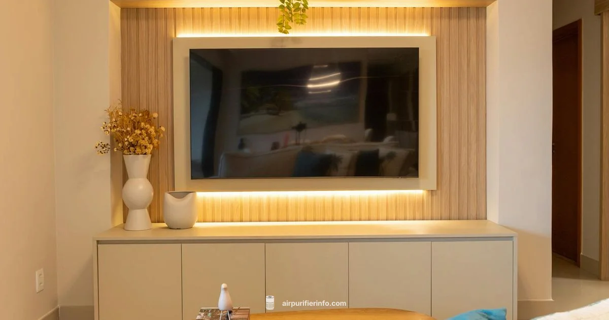 Ionizer Check Guide Ionizer Check Guide - Air Purifier Info