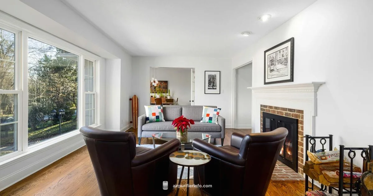 Air Purifier Basics - Air Purifier Info