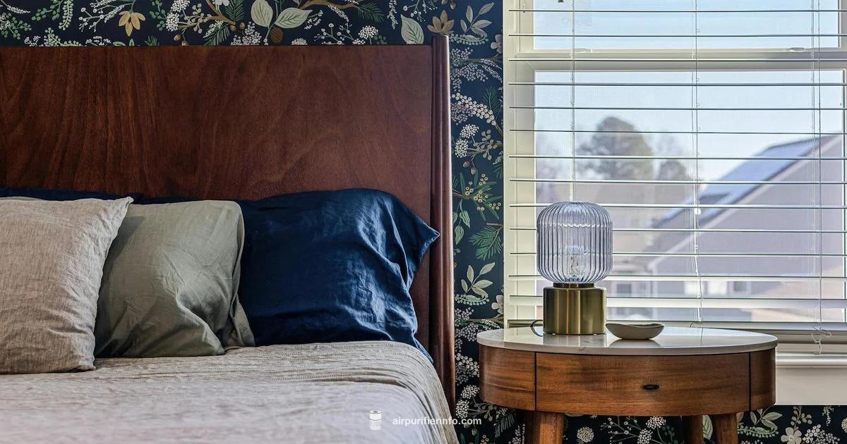 Budget Dust Purifiers - Air Purifier Info