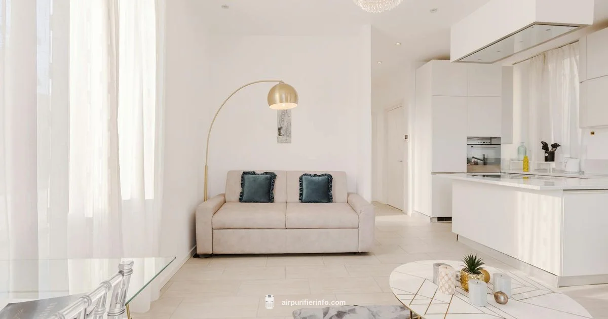 Beaba in Use - Air Purifier Info