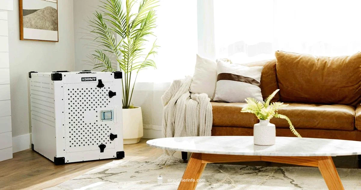 Caspr Air Purifier - Air Purifier Info