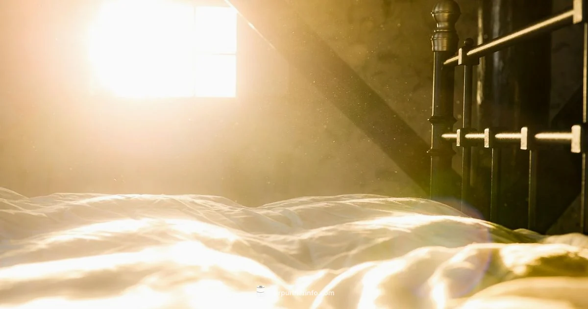 Eczema Safe Air Eczema Safe Air - Air Purifier Info