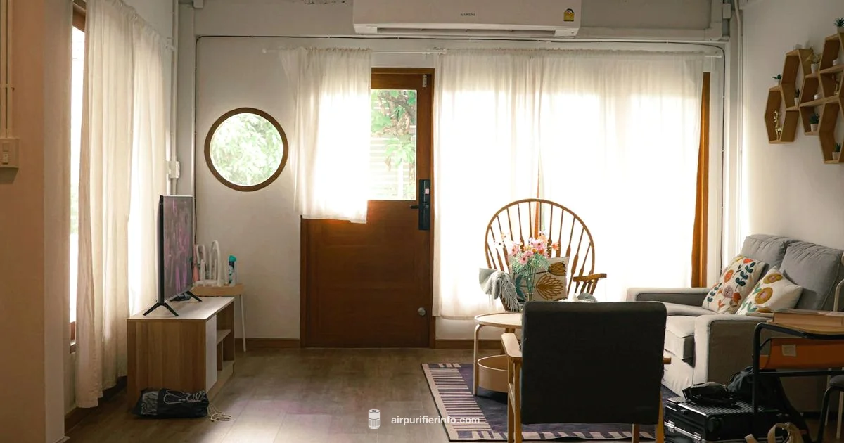 Why Have Air Purifiers - Air Purifier Info