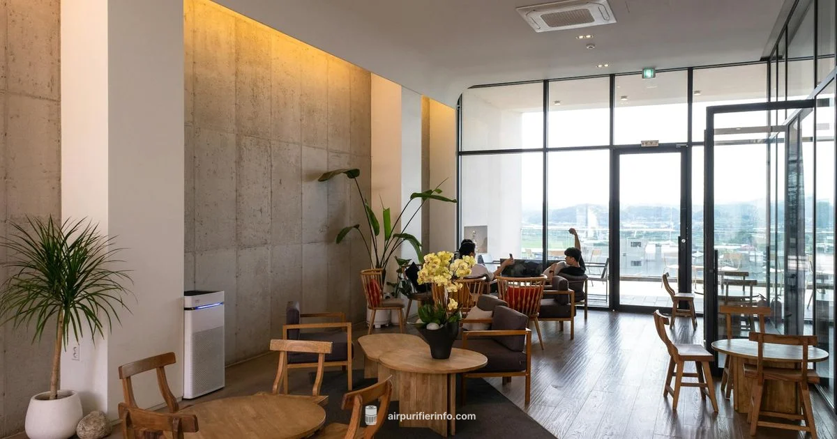 Winix 5500-2 Overview - Air Purifier Info