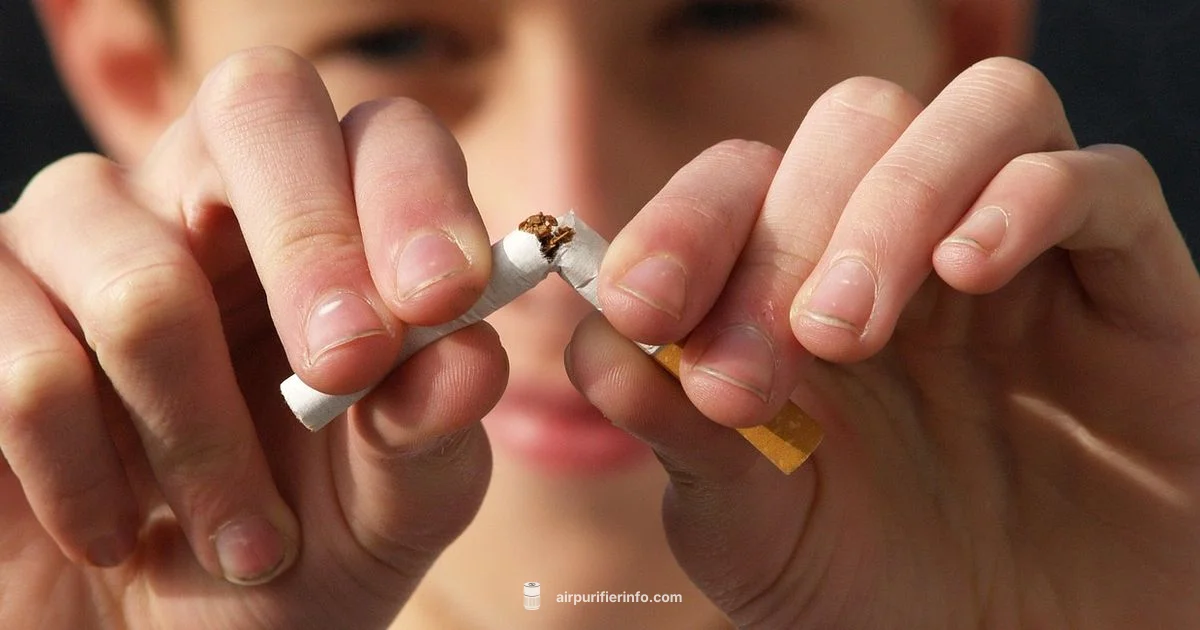 Smoke and Purifier - Air Purifier Info