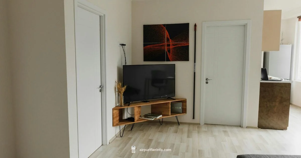 Dust Reduction in Action - Air Purifier Info