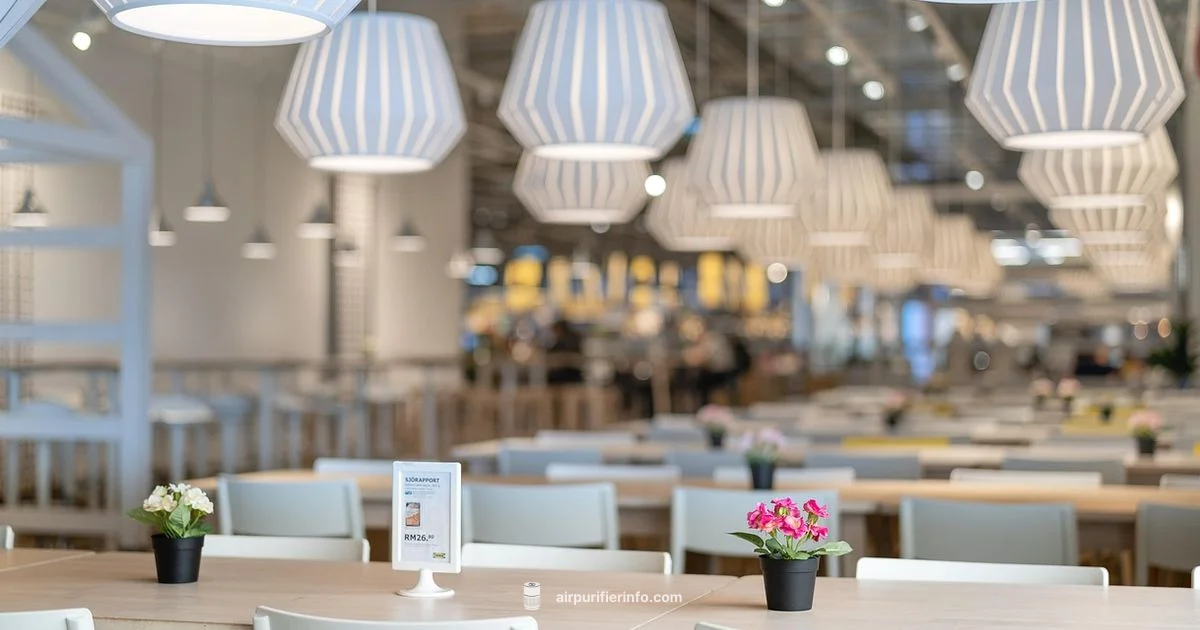 AirDoctor 1000 Review - Air Purifier Info