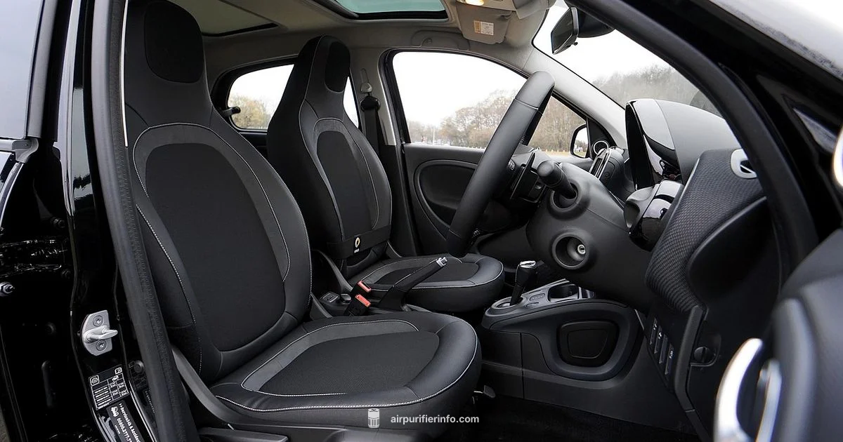 Clean Cabin Air - Air Purifier Info