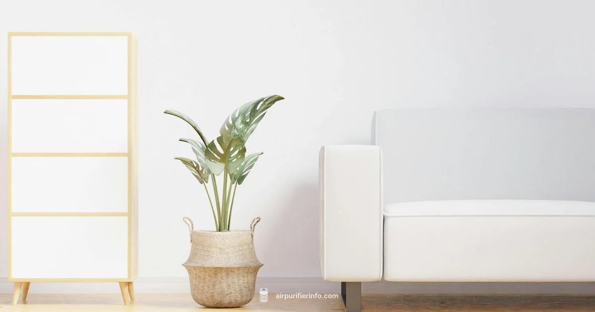 Purifier for Life - Air Purifier Info