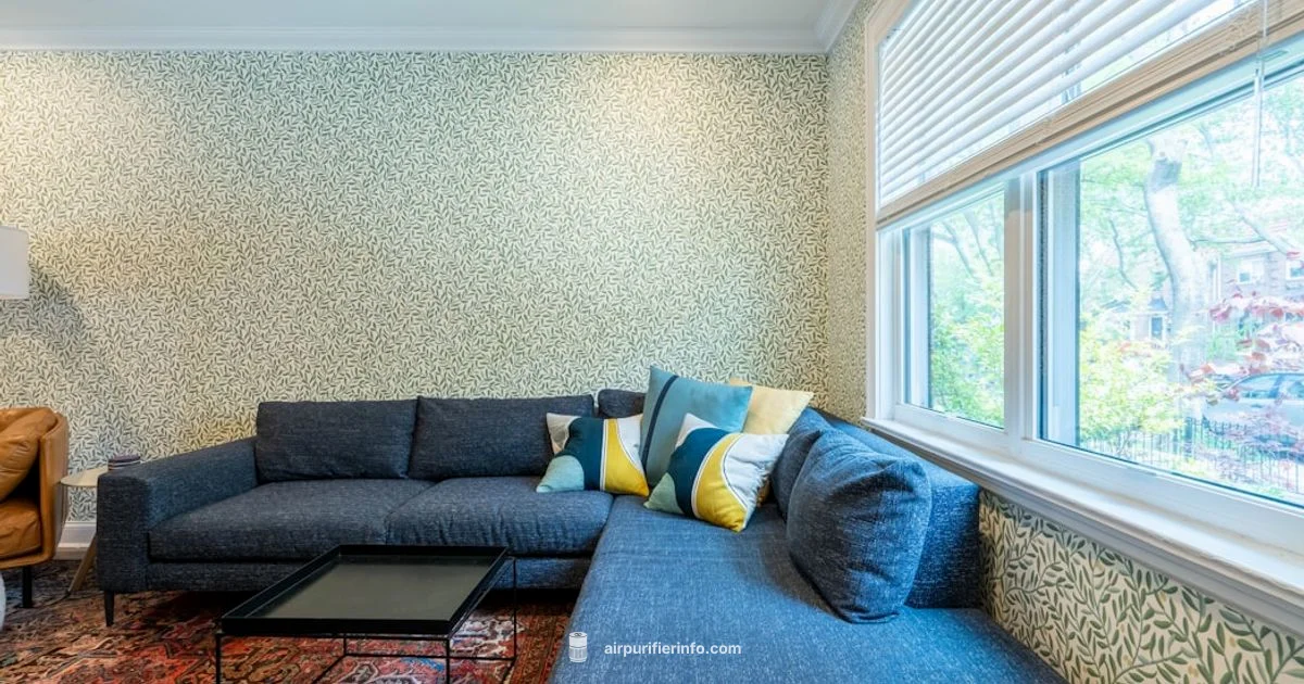 Dust Removal Guide - Air Purifier Info